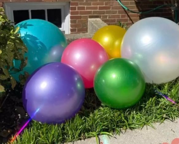 Lilac Holiball (18 and 30 inch available)