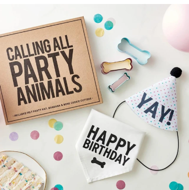 Pet Birthday Book Box - Calling All Party Animals