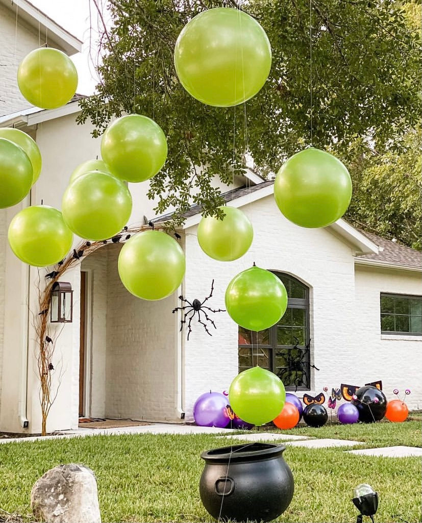 Lime Holiball (18 and 30 inch available)